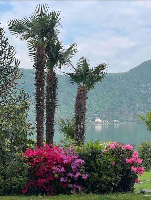 Appartamento Con Piscina E Sauna Bissone Buitenkant foto